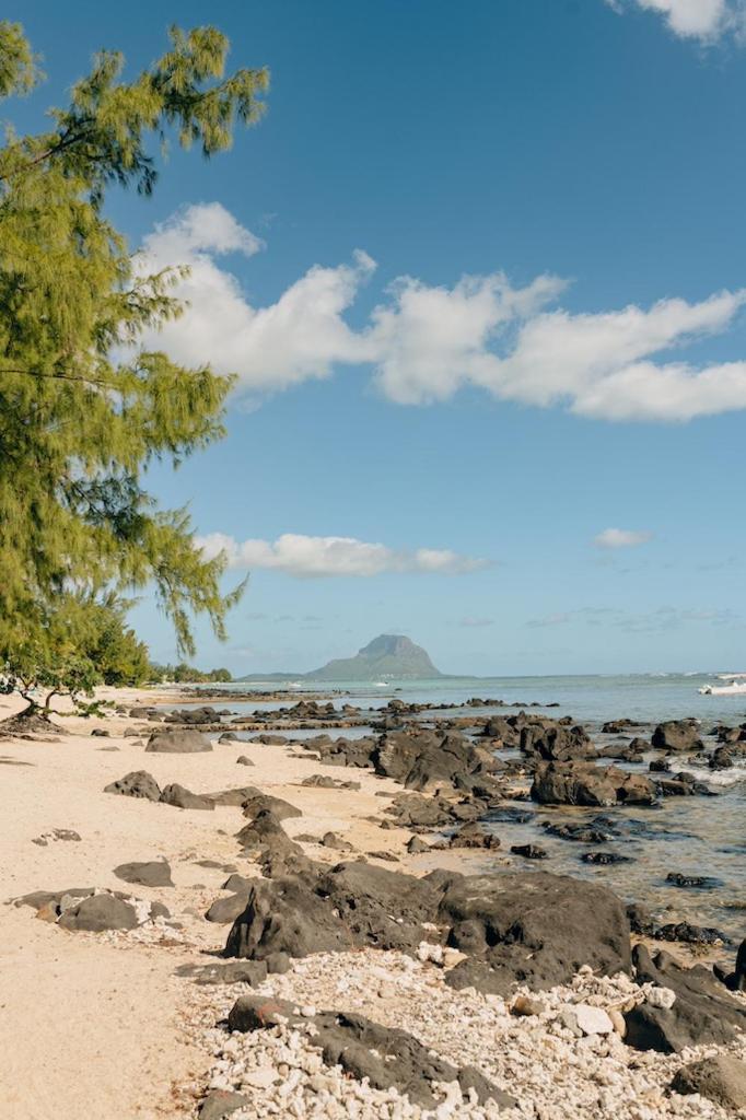 Beach And Mountain - 塔马兰 外观 照片