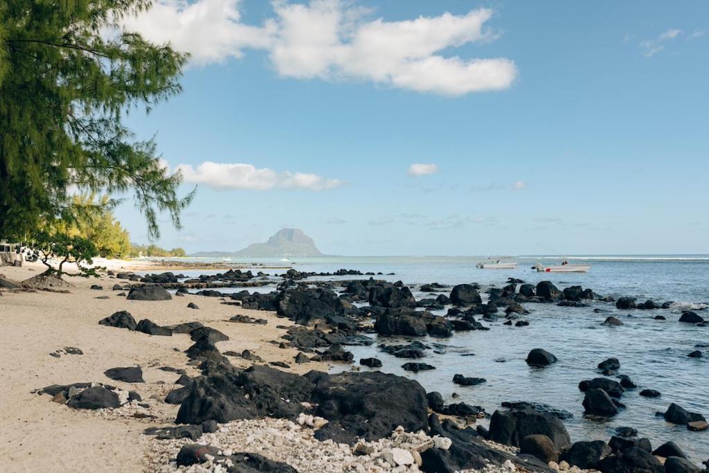 Beach And Mountain - 塔马兰 外观 照片